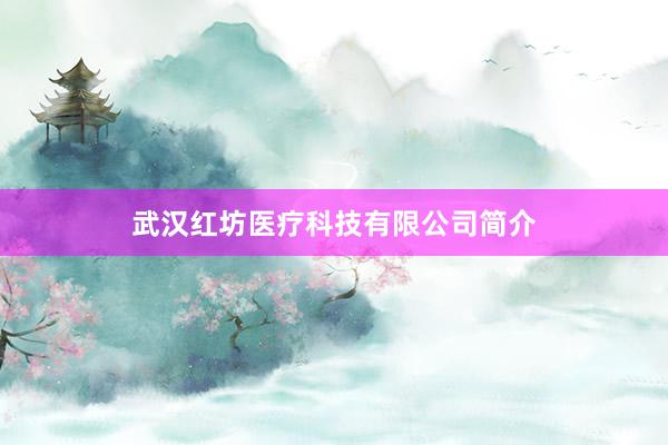 武汉红坊医疗科技有限公司简介