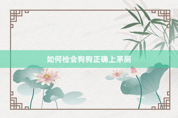 如何检会狗狗正确上茅厕