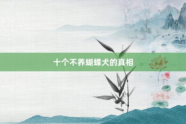 十个不养蝴蝶犬的真相