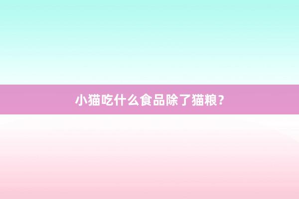小猫吃什么食品除了猫粮？