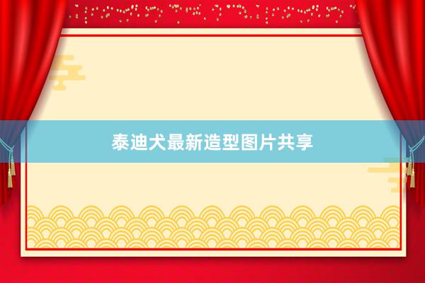泰迪犬最新造型图片共享